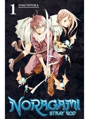 cover image of Noragami: Stray God, Volume 1